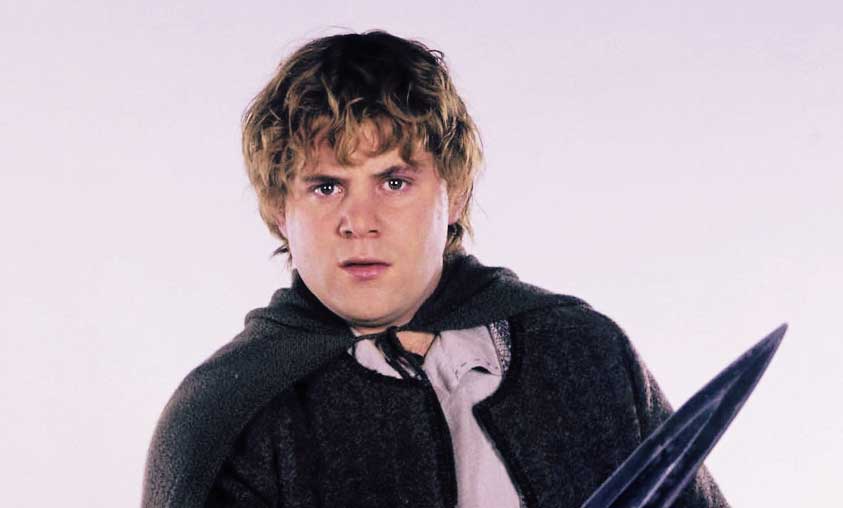 Sean Astin Doesn't Agree With Fans Who Think The Lord Of The Rings' Hero Is  Sam